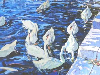 Cygnes, 2000